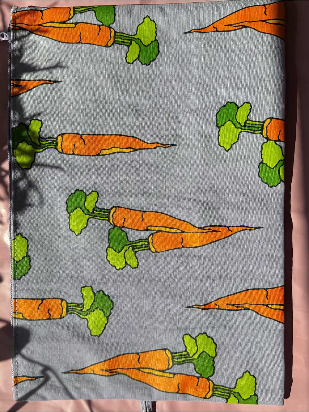Baggu NWOT Large Go Pouch- Carrots